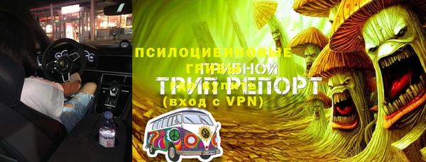 крисы Алзамай