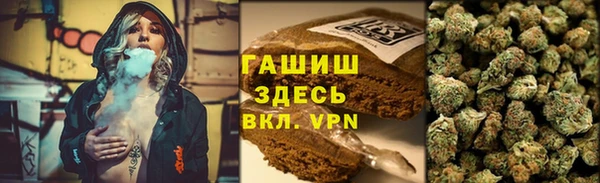 крисы Алзамай