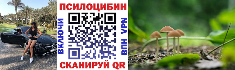 Псилоцибиновые грибы Cubensis  мега онион  Ноябрьск 
