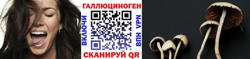 Галлюциногенные грибы прущие грибы Ноябрьск