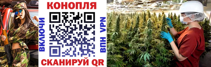 Конопля OG Kush  Ноябрьск 